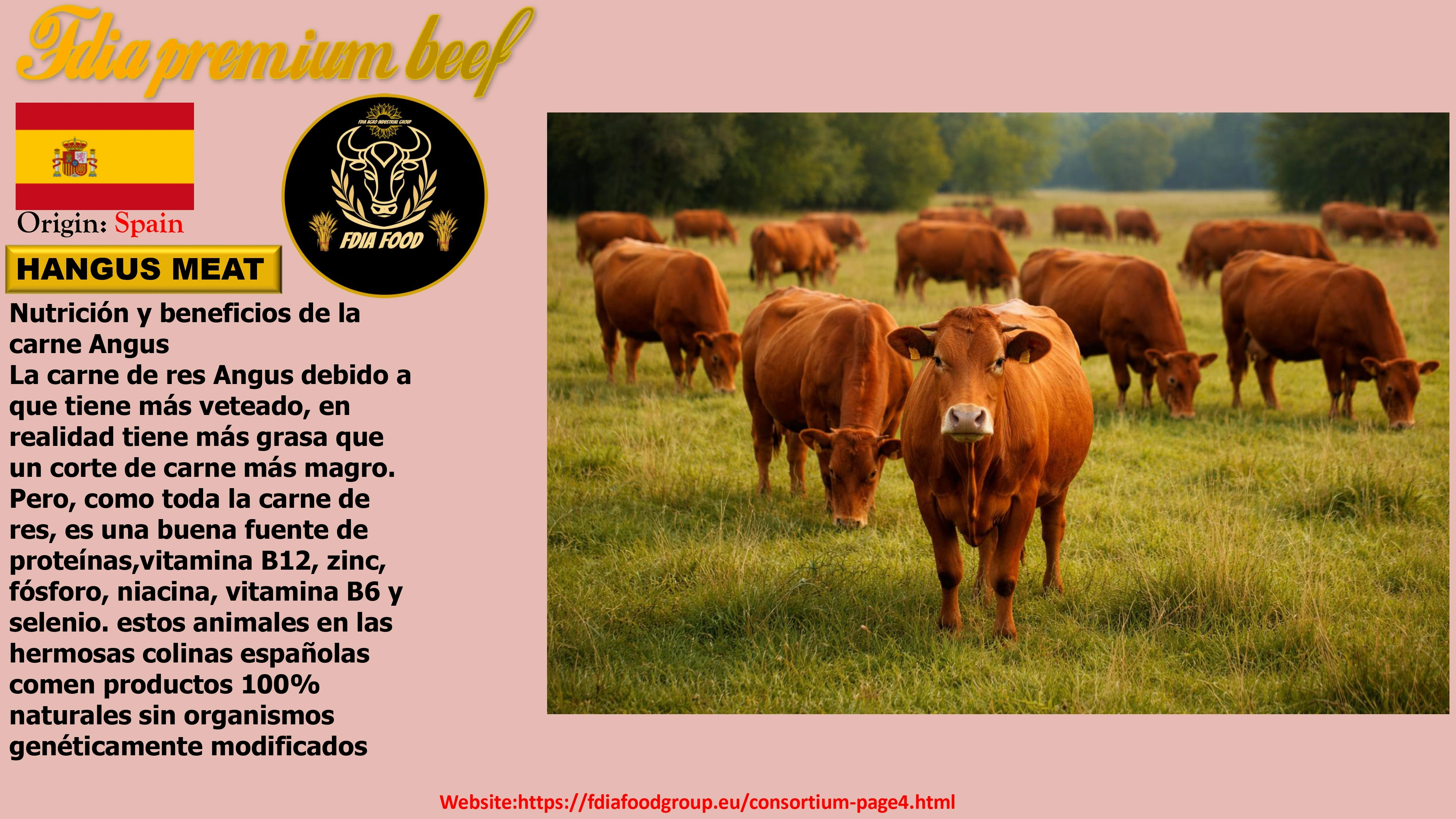 meat (10)